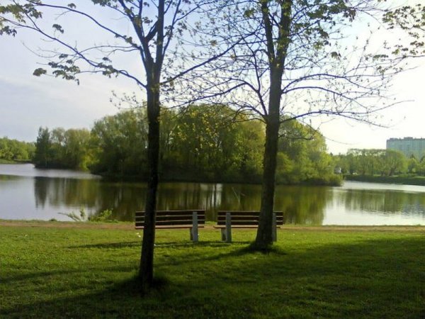 Петергофское шоссе 27 Южно-Приморский парк