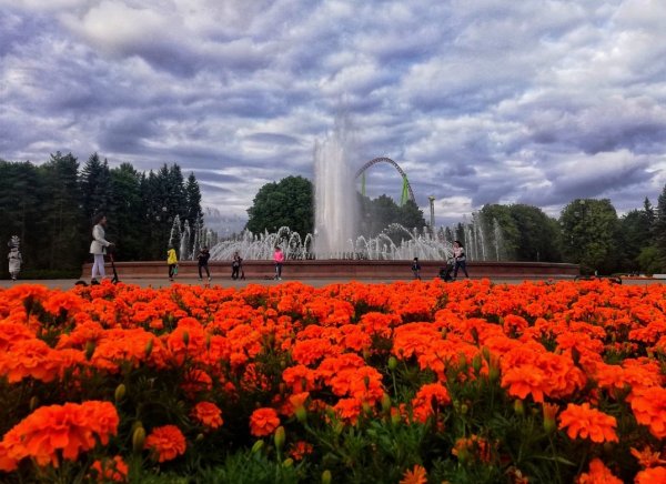 Приморский парк Победы в Санкт-Петербурге