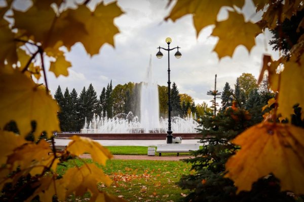 Южно Приморский парк Победы район