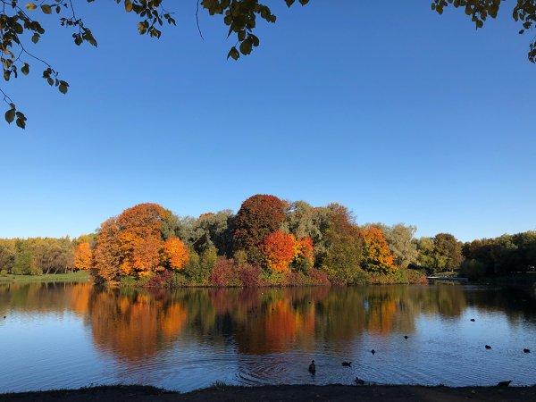Южно-Приморский парк