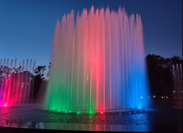 Южно-Приморский парк в Санкт-Петербурге