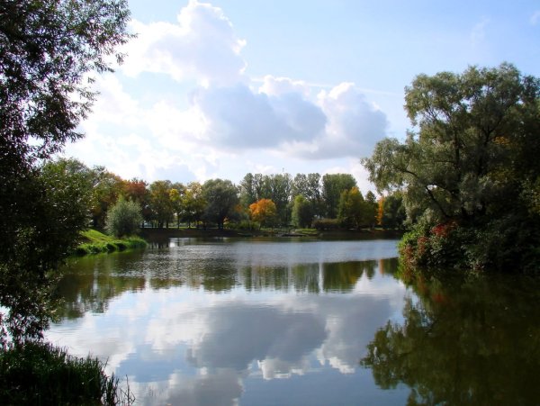 Пруды Южно-Приморский