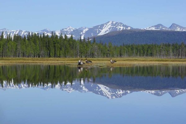 Заповедник в Коми Югыд-ва