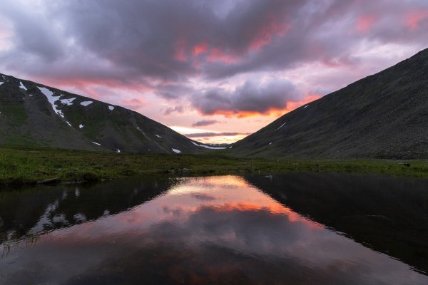 Девственные леса Республики Коми парк Югыд ва