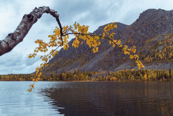 Национальный парк Югыд-ва озеро Бублик