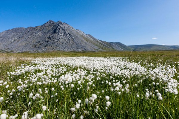 Национальный парк ЮГДВА
