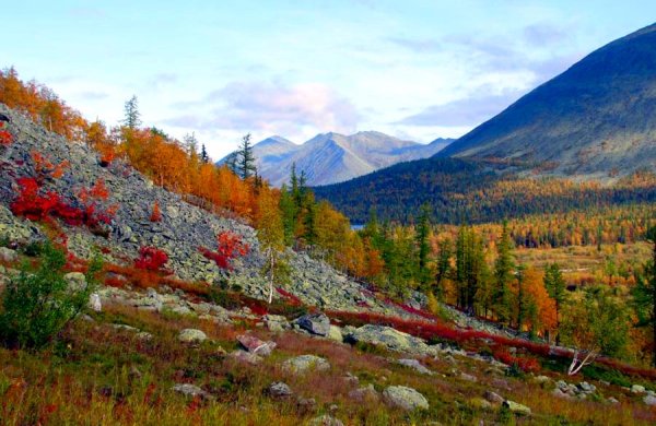 Парк Югыд ва