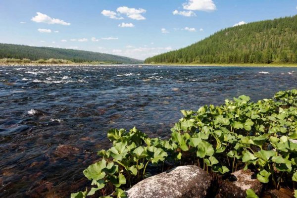 Национральный АПКР югяд ва