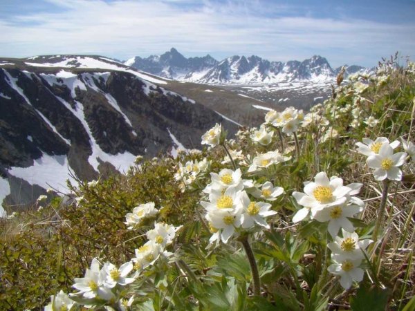 Национальный парк Югыд-ва в Коми