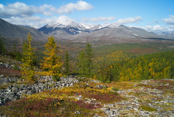 Горы Приполярного Урала