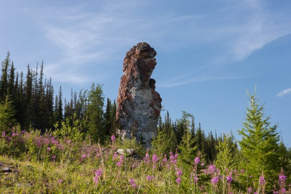 Национальный парк Югыд-ва Республика Коми
