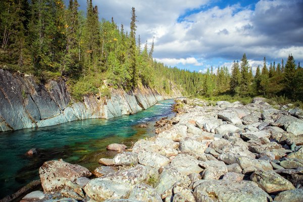 Река Кожим Приполярный Урал