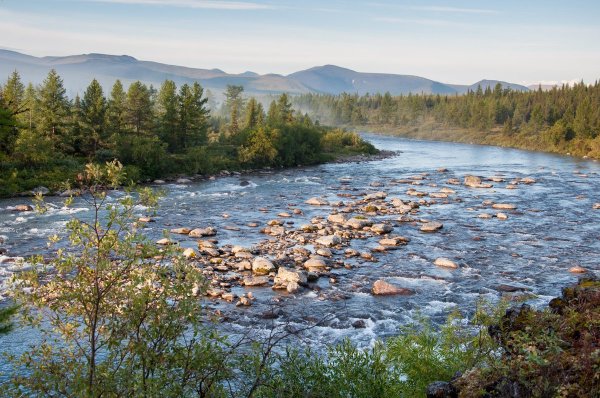 Река Балбанью Приполярный