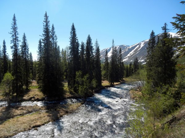 Природа Республики Коми Югыд ва