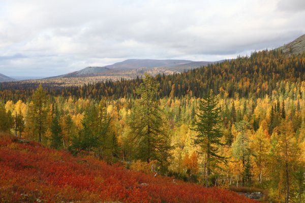 Коми парк Югыд ва