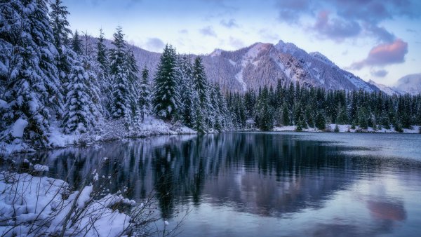 Вашингтон пейзажи