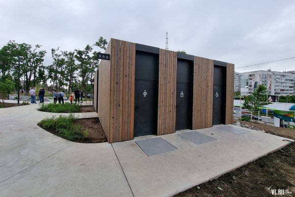 Конкрит Джангл Нагорный парк