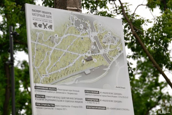 Благоустройство Нагорного парка во Владивостоке