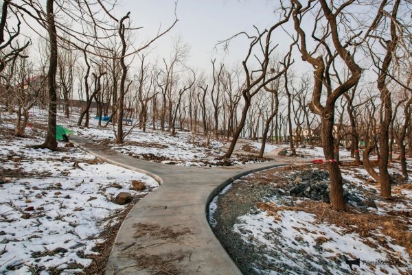 Горный парк Владивосток