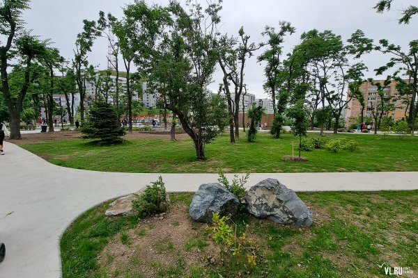 Парк на Шилкинской