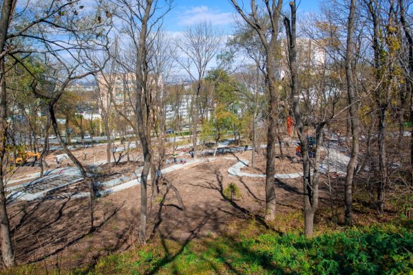 Нагорный парк Владивосток