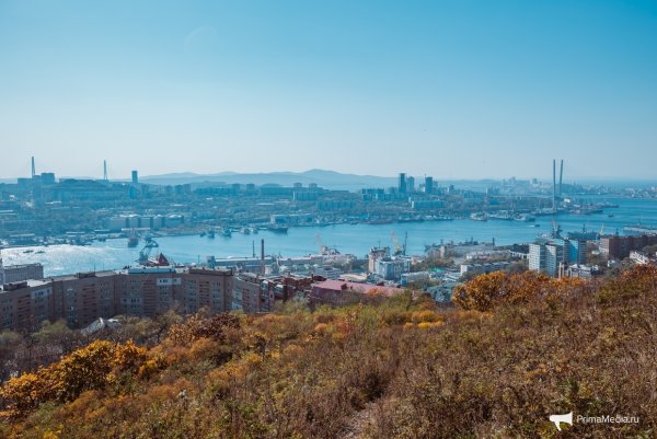 Видовая Нагорный парк Владивосток