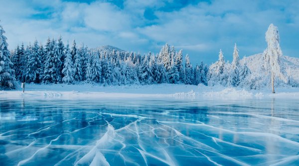 Зимний лес и озеро со льдом