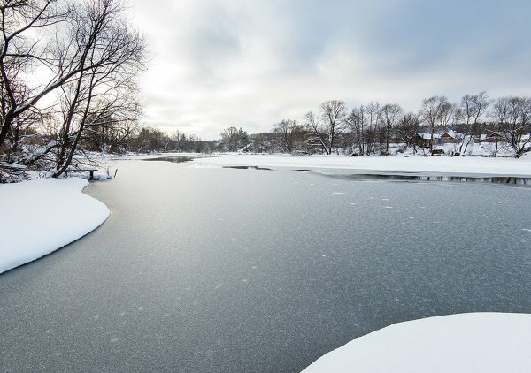 Лед на пруду