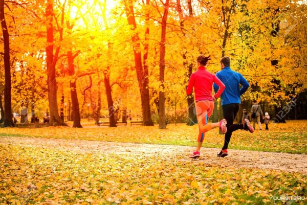Осенняя пробежка