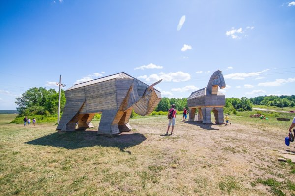 Сафари парк Воронеж Кудыкина гора