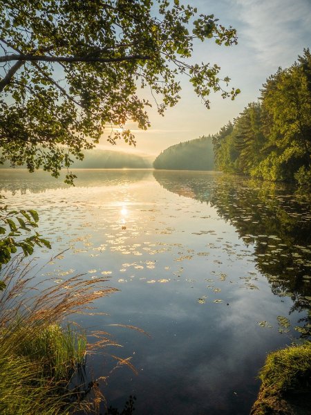 Озеро светлое Воскресенск