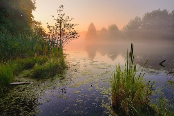 Рассвет на озере