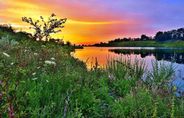 Утренняя Заря