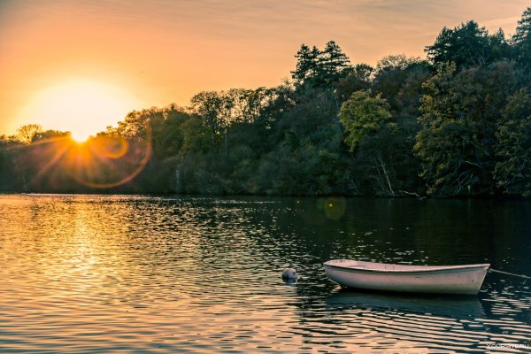 Лето река солнце