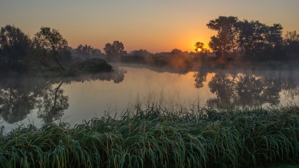Раннее утро на реке