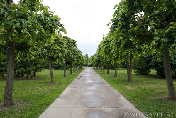 Парк Победы Тамбов