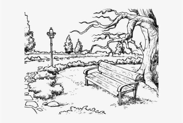 Раскраска природа