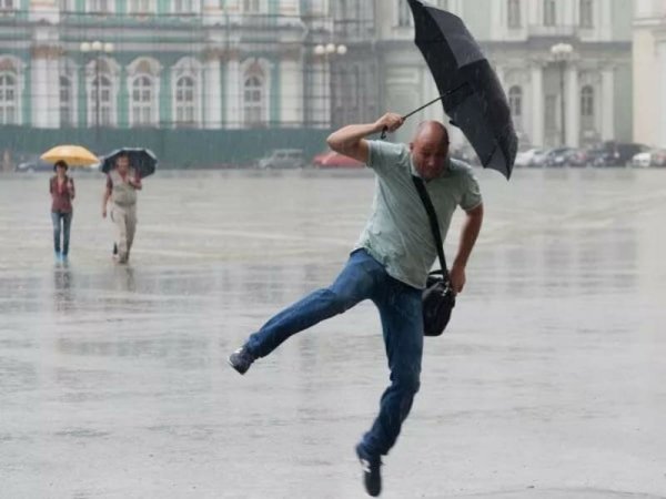 Сильный ветер в Санкт-Петербурге