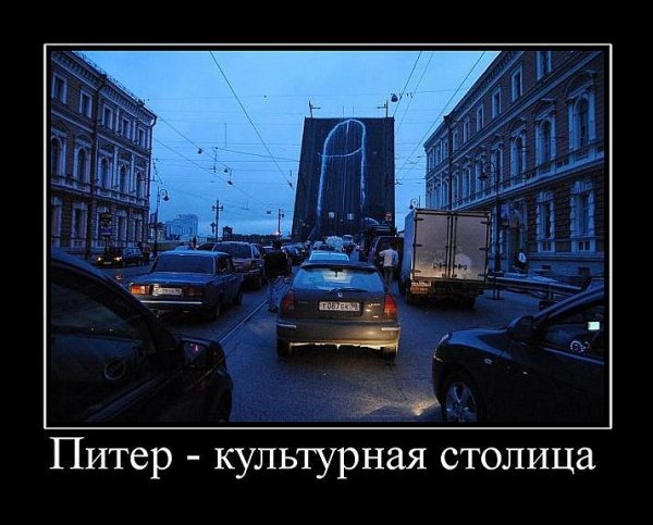 Питер культурная столица прикол
