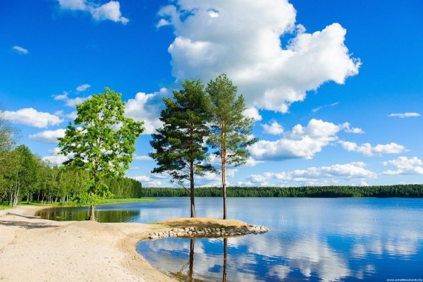 Белоруссия озеро Плисса