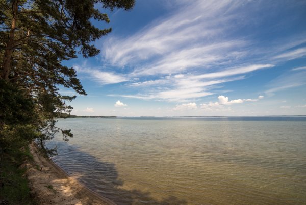 Озеро белое Беларусь Нарочь