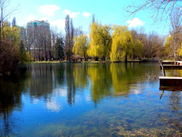 Парк Гагарина Симферополь
