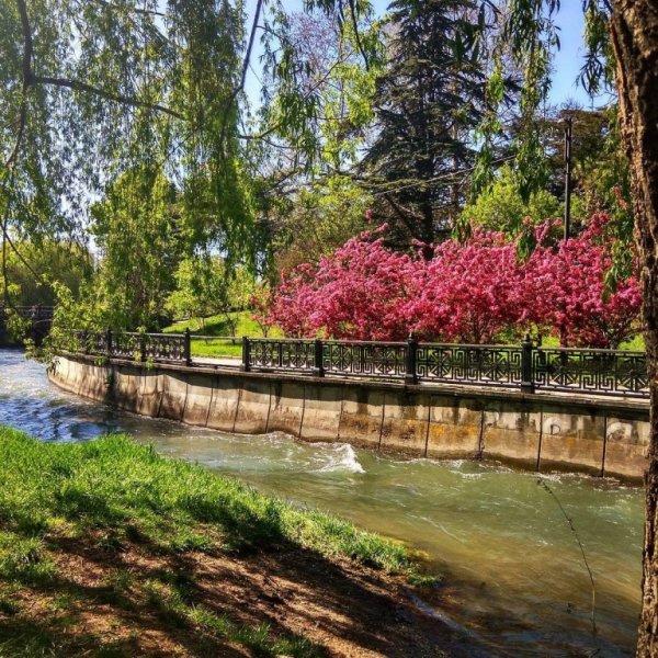 Гагаринский парк Симферополь
