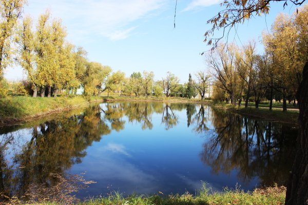 Парк Победы Омск Лесопарковая зона