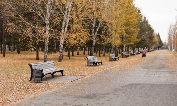 Парк Победы осенью Омск