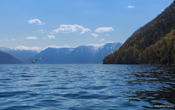 Горный Алтай Телецкое озеро