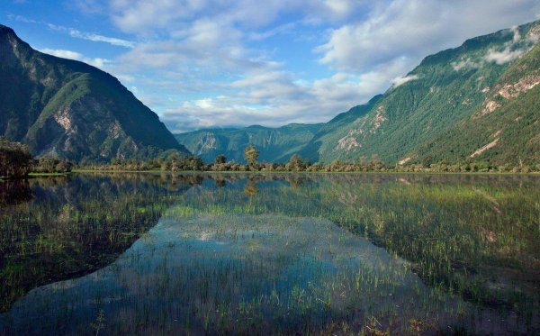 Горно-Алтайск Телецкое озеро