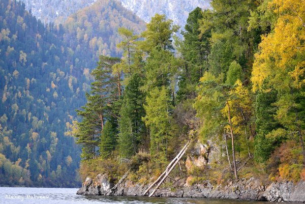 Кордон Кокши на Телецком