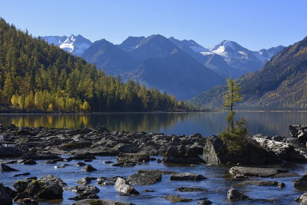 Алтайский заповедник Телецкое озеро