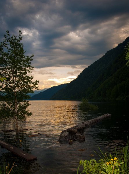 Природа Алтая Телецкое озеро